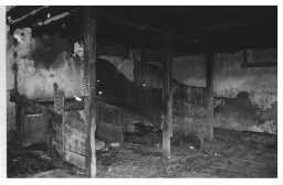 Stalls in west wing of Farmstead 04/2011